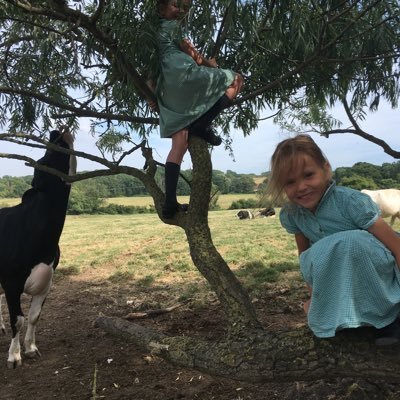 farmergribz's profile picture. Dairy, Arable and Sheep farmer on the South Downs.