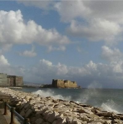 allcatsareb's profile picture. Danza, musica, arte, cibo, politica, cultura, libri.