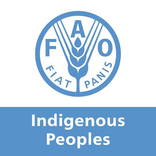 @FAO considers Indigenous Peoples as key allies for a sustainable planet & secure #FutureofFood for all 🌍🌾 #WeAreIndigenous
Also follow @FAODG