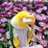 めるやまのアイコン