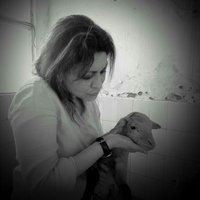 Swati Sanghi (@sanghiswati) 's Twitter Profile