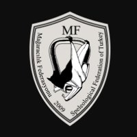 Türkiye Mağaracılık Federasyonu (@tumaf1) 's Twitter Profile