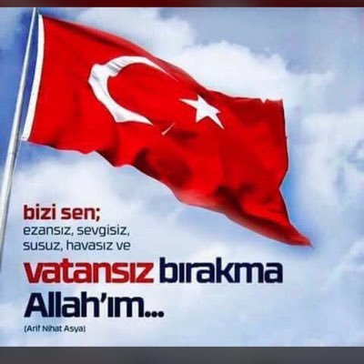 IcinmedekiSES's profile picture. millet aşıgı, zalim düşmanı,