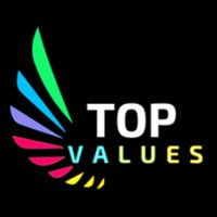 TopValues.Net(@TopValuesNet) 's Twitter Profile Photo