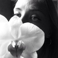 Miruna Fulgeanu (@libglib) 's Twitter Profile