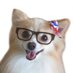 Tax Foundation of Hawaii (@hawaiitax) Twitter profile photo Tax Foundation of Hawaii (@hawaiitax) Twitter profile photo