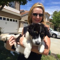 Jillian (@jillianohana) 's Twitter Profile