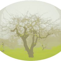 derwen.ai (@derwen_ai) 's Twitter Profile