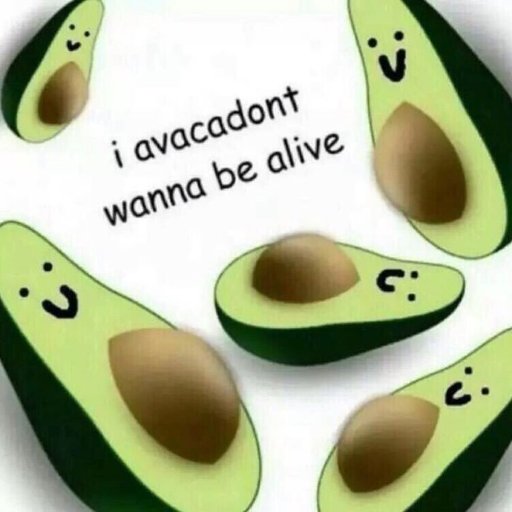 Emily14943662's profile picture. I'm here for gay and YouTube. 

Homoflexible
She/her
taken by the most adorable girl ever(don't tell her that she'll show me MORE love...........i'll die guys)