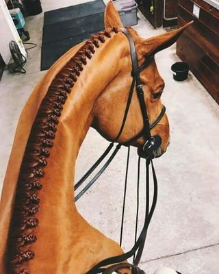 أرواحهم مهزوزة كثيرة الانتقال ، وأنا يغريني الثبات ، يغريني التمسك ?‏ ❤