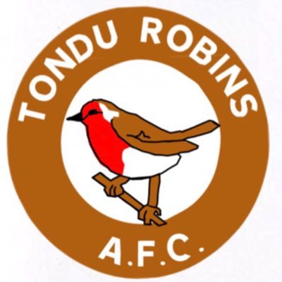 Official twitter page of Tondu Robins AFC. Home games played at Pandy Park - 🔴⚫️ Est. 1898