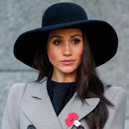 Undercover Agent.                   
Current Cover: Duchess of Sussex