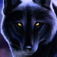 I'm just a guy who likes to game and make friends! I'm not a great gamer but I like having fun and sharing that fun with others!