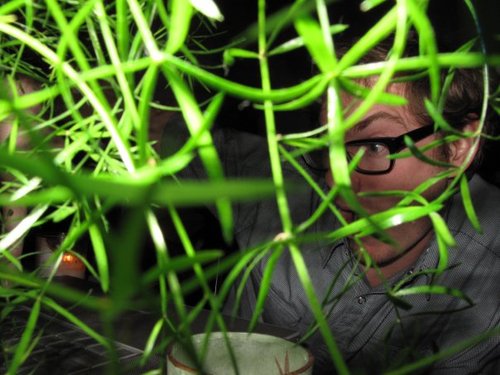 micdillon's profile picture. Applied Scientist @ Amazon / Math Nerd