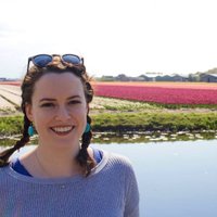 kathy lewis (@klewislaw) 's Twitter Profile