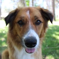 TheQuietOne (@notbeingquiet) 's Twitter Profile Photo