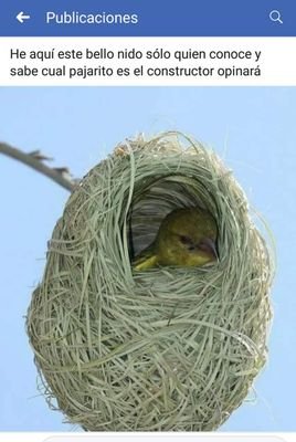 Antonio27468960's profile picture. 