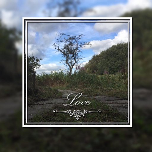 lovefaescotland's profile picture. To be yourself in a world that is constantly trying to make you something else is the greatest accomplishment.” 
― Ralph Waldo Emerson