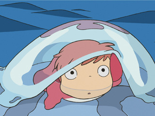 fukuume777's profile picture. 鉄板焼きのお店をしています。趣味はＦＸです。いつかは自分なりの勝つトレードスタイルを確立できればと思い日々がんばっています。