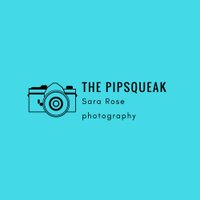 Sara Rose (@the_pipsqueeak) 's Twitter Profile