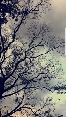 NinJasonn's profile picture. It's what it's