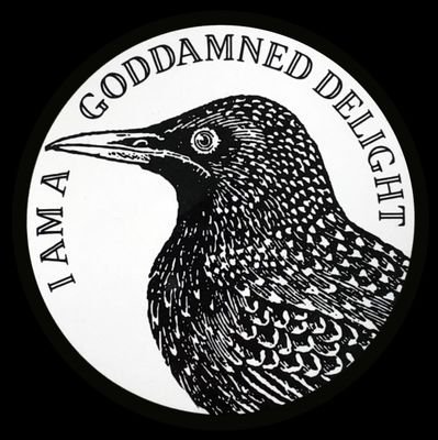 Immature/informative/TMI tweets abt: 🦜, 🌱, 🐝, ♿, chronic illness, civil rights, silliness
#pwME
NO TERFS, NO UNSOLICITED ADVICE!
Userpic/header: @effinbirds