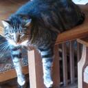 Carol Boyer - @CarolBoyer1 - Twitter