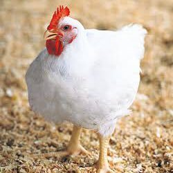 sanagi37's profile picture. 最近はIT系で副業できないかどうか模索&勉強中。本業は音楽教えてます。