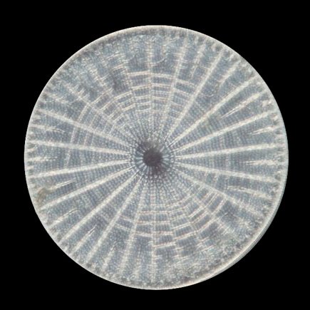 liyuhang's profile picture. 