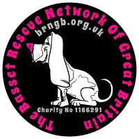 Basset Rescue Network GB(@bassetrescuenet) 's Twitter Profile Photo