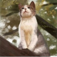 竹 (@kt01982) 's Twitter Profile