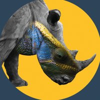 Le Grand Festival (@festivalverdun) 's Twitter Profile Photo