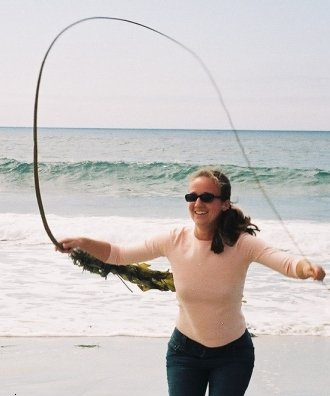 Registered Dietitian, Certified Specialist in Sports Dietetics, mother, wife, and teacher who loves all food! Thankfully I enjoy being active too!