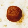 iamchawan's profile picture. 👇 引っ越しました。