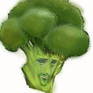 SHIKI_ALPHA's profile picture. おわり