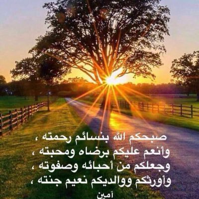 A64101016's profile picture. 