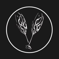 TheSparklingWineCo (@sparklingwineco) 's Twitter Profile
