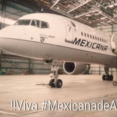 AAI
Mexicana de Aviación.
investigador de accidentes de Aviación durante 20 años.
Perito en materia aeronáutica 
alérgico a la corrupción y  tabasqueño calado