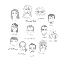 Stemcellbiology Aachen (@lab_wagner) 's Twitter Profile