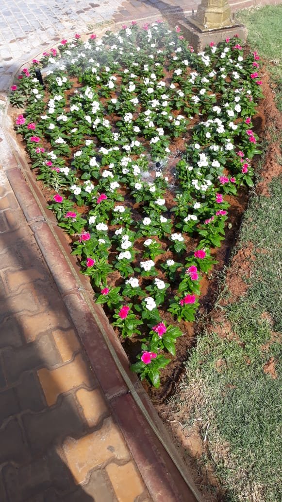 ESCF4i2W27EG4Ak's profile picture. 