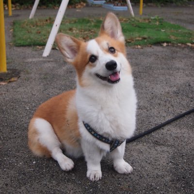 dmm9y's profile picture. 