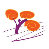 Agroforestry2019 (@agroforest2019) 's Twitter Profile Photo