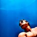Matthew D'Aguiar 🇧🇧 🇨🇦 (@bajandaguiar) Twitter profile photo Matthew D'Aguiar 🇧🇧 🇨🇦 (@bajandaguiar) Twitter profile photo