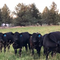 Cascades East🇨🇦🇺🇸 (@rtcdn) 's Twitter Profile Photo Cascades East🇨🇦🇺🇸 (@rtcdn) 's Twitter Profile Photo