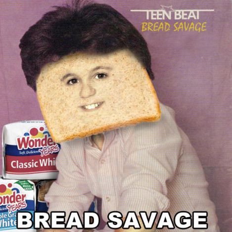 Co-Host of SliceQuest and Board Member of the TakeBackBreadtube ”non-profit” Advocacy Group. Activist for Margarinalized Breadfolk. #YeastWeForget #BeTheBread