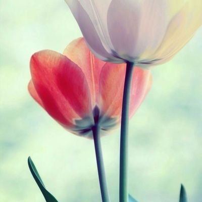 Everything in Life is Temporary. ...It Won't Last Forever. ♎