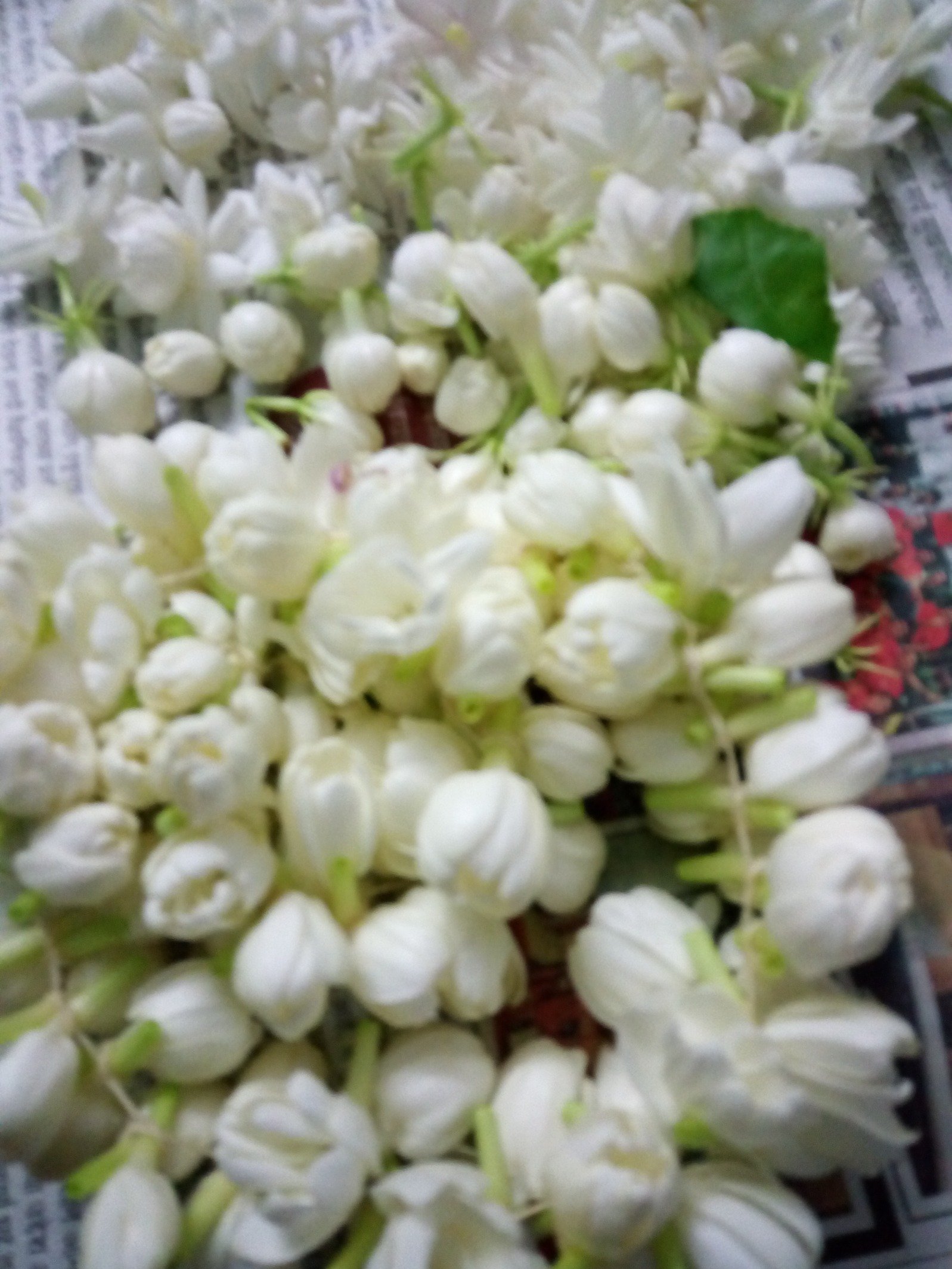 LBhomkar's profile picture. Keep smiling