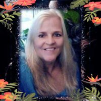 Tammy Haney - @TammyHa88088417 Twitter Profile Photo