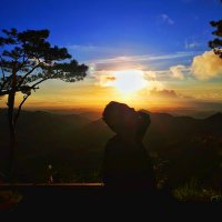 GummyBear🇵🇭🇹🇼 (@pseudopodia92) 's Twitter Profile