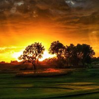 J. Liebert Golf Pics(@jliebertgolf) 's Twitter Profile Photo